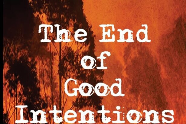 A Review Of The End Of Good Intentions By David