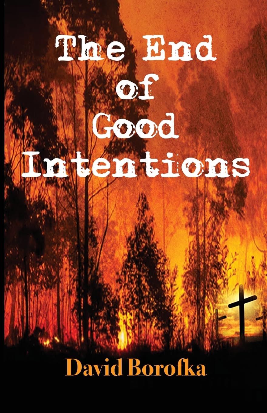 A Review Of The End Of Good Intentions By David