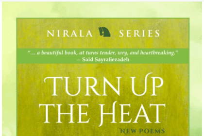 A Review Of Turn Up The Heat By Ruth Danon