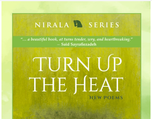 A Review Of Turn Up The Heat By Ruth Danon