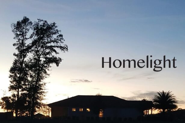 A Review Of Homelight By Lola Haskins