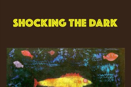 A Review Of Shocking The Dark By Robert Lowes