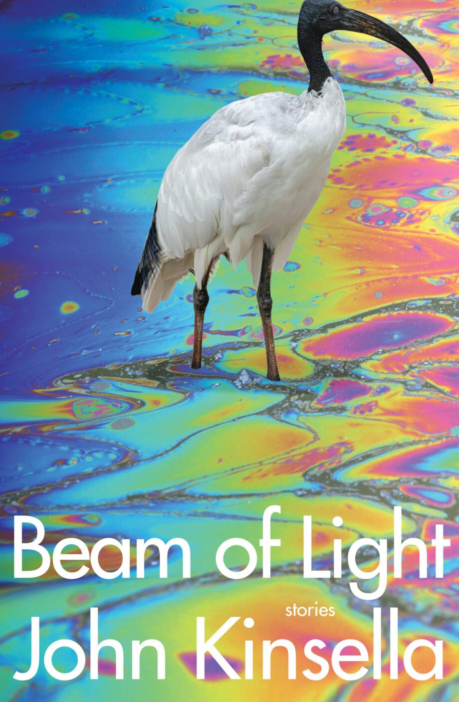 A Review Of Beam Of Light By John Kinsella