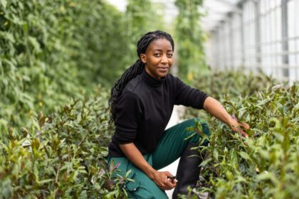 Black Farmers Receive $2m Boost For A Sustainable Food System