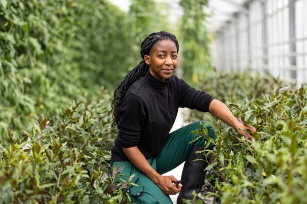 Black Farmers Receive $2m Boost For A Sustainable Food System