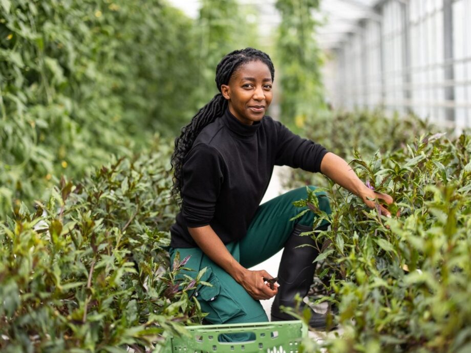 Black Farmers Receive $2m Boost For A Sustainable Food System