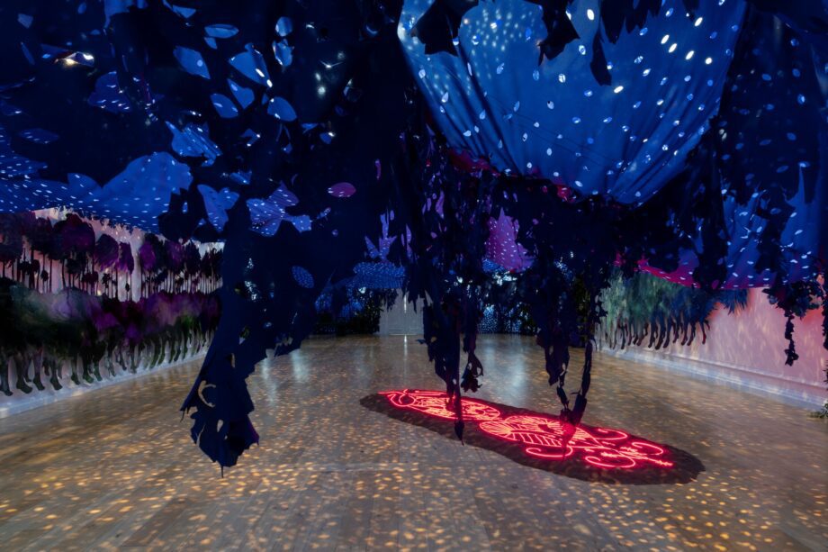 On View: ‘firelei Báez: A Midnight’s Dream,’ Immersive Presentation At