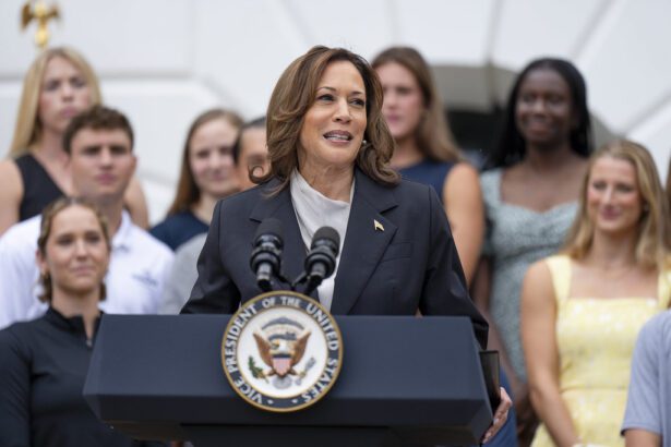 Artists For Kamala: Dozens Of Artists Donated Works To Auction