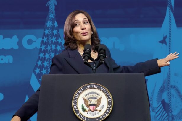 Why Kamala Harris And The Illusion Of Representation Fails Black